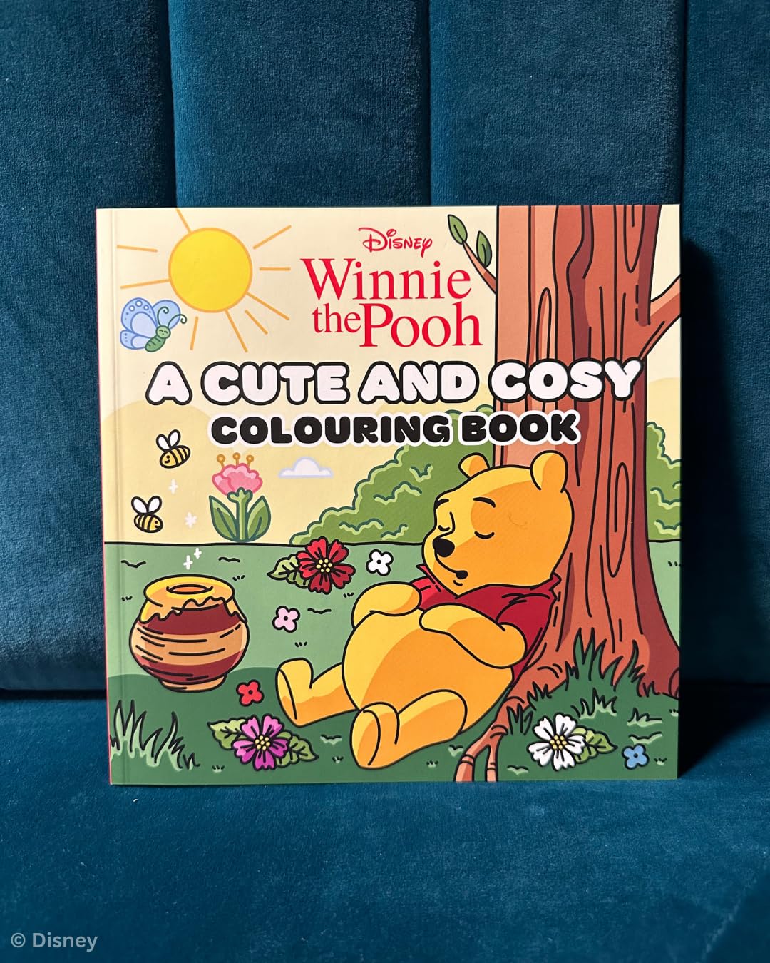 Disney Winnie the Pooh: A Cute and Cosy Colouring Book for Kids & Adults | Relaxing Disney Coloring Pages Featuring Pooh & Friends
