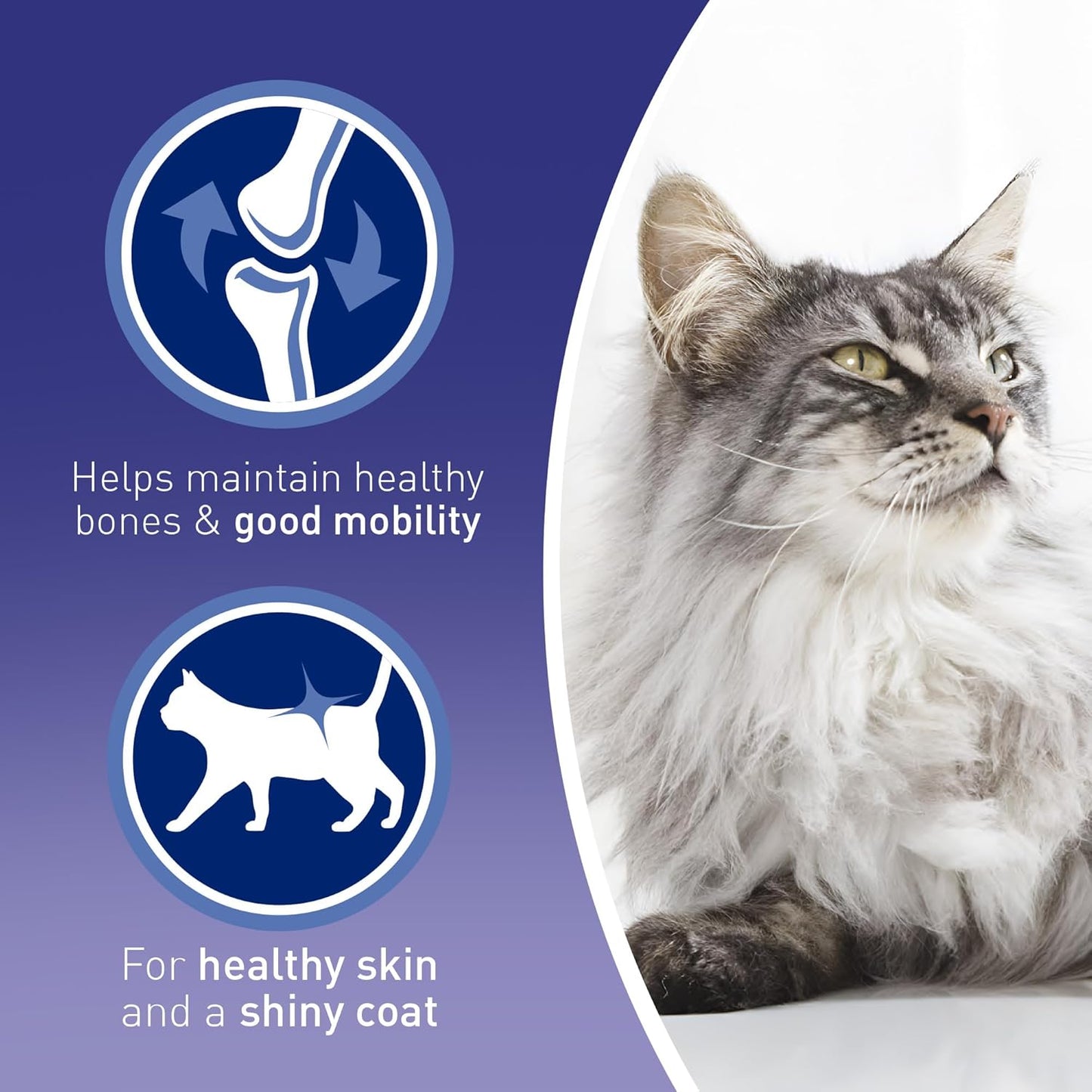 PURINA ONE Mini Fillets Mixed Selection in Gravy Adult Wet Cat Food 40x85g
