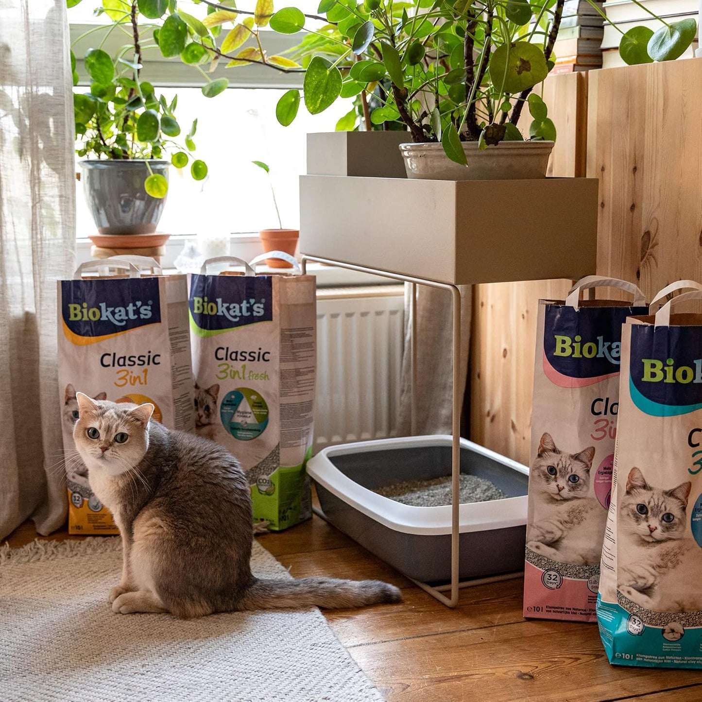 Biokatʼs Classic Fresh 3in1 Cotton Blossom Fragrance Clumping Cat Litter 10L – Multi Grain Formula – Odor Control – Bentonite Clay Cat Litter