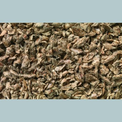 Blazers Kitten Friendly Cat Litter 10L - Natural Pine Wood Pellets - Antibacterial - Odor Control - Training Friendly Cat Litter
