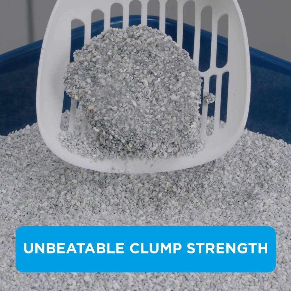 Ever Clean Lavender Clumping Cat Litter 20L - Lavender Scented - Strong Clumping - Odor Control - Easy Scoop Clay Litter