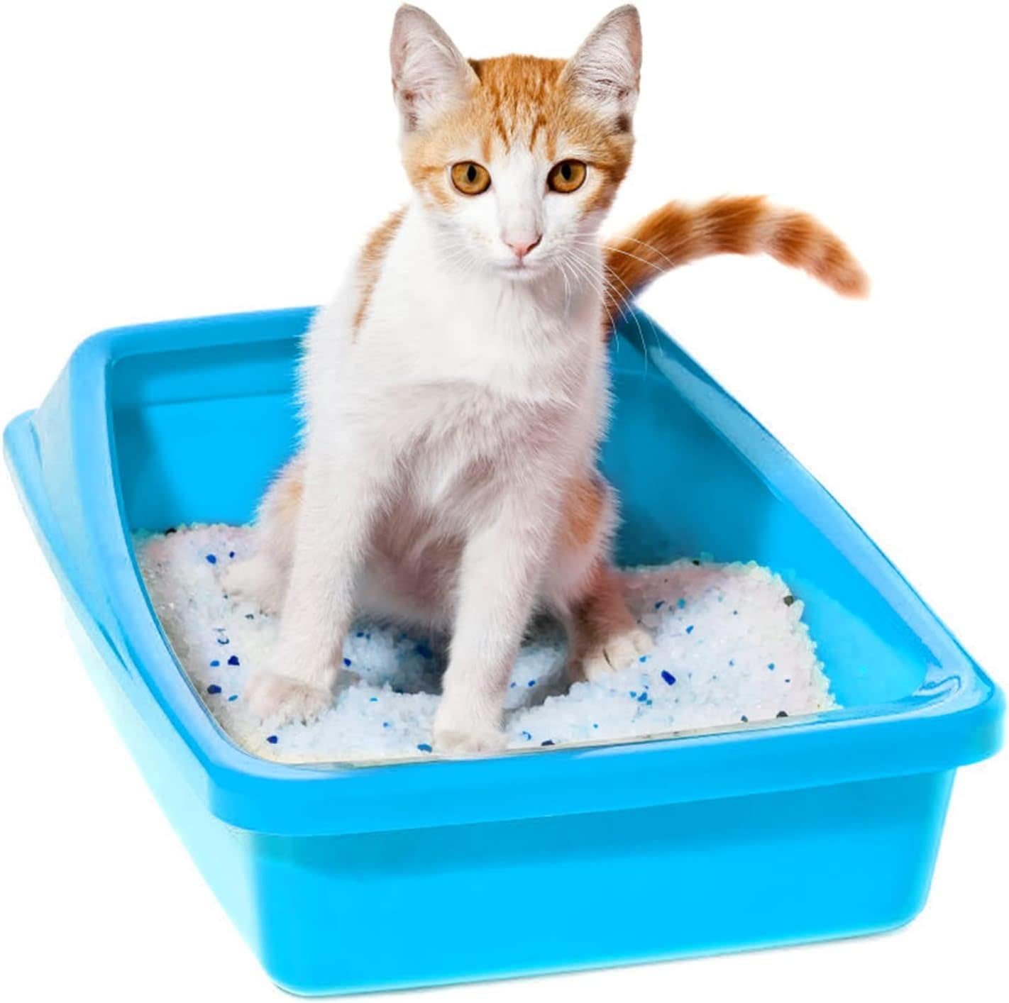 Nobleza Silica Cat Litter Diamond Gel Kitten Litter 3.8L – Ultra Absorbent – Odor Control – Non Toxic Silica Gel Cat Litter