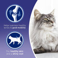 PURINA ONE Mini Fillets Mixed Selection in Gravy Adult Wet Cat Food 40x85g