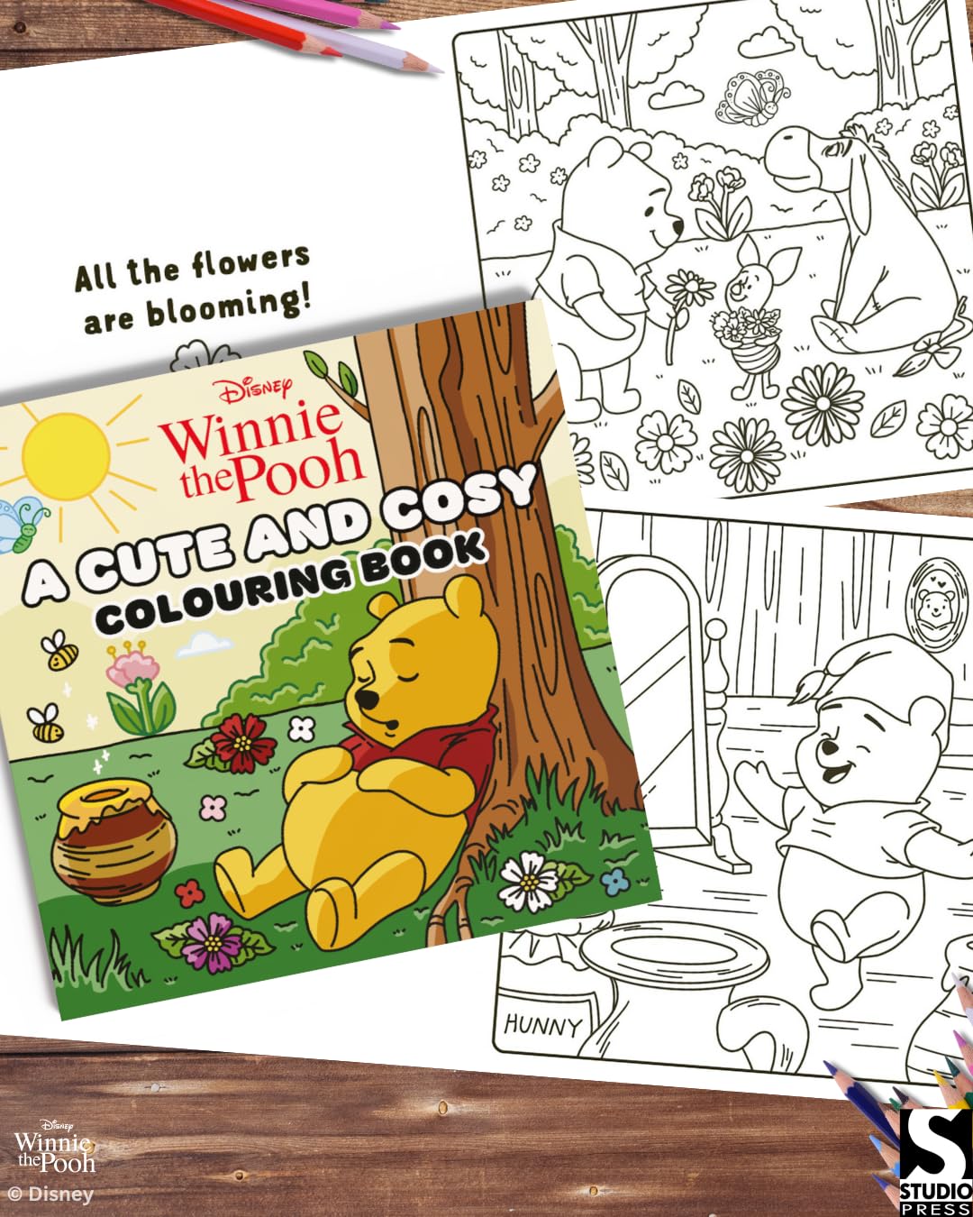 Disney Winnie the Pooh: A Cute and Cosy Colouring Book for Kids & Adults | Relaxing Disney Coloring Pages Featuring Pooh & Friends