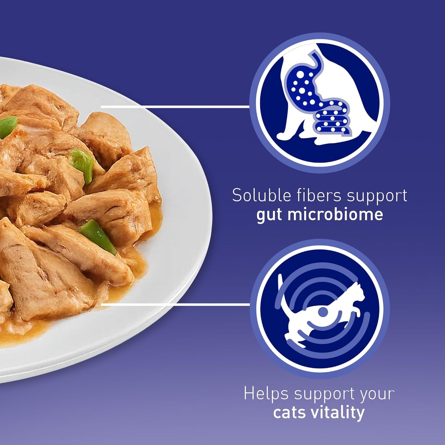 PURINA ONE Mini Fillets Mixed Selection in Gravy Adult Wet Cat Food 40x85g