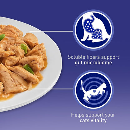 PURINA ONE Mini Fillets Mixed Selection in Gravy Adult Wet Cat Food 40x85g