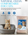SIC Cat Litter 30L - Biodegradable Wood Pellet - Non Clumping - Dust Free Unscented - Odor Control Natural Cat Litter