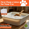 BioKitty Clumping Cat Litter 10L – Unscented – Natural Bentonite Minerals – Strong Clumping – Odor Control – Dust Free Cat Litter Pack of 1