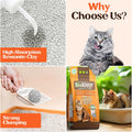 BioKitty Clumping Cat Litter 10L – Unscented – Natural Bentonite Minerals – Strong Clumping – Odor Control – Dust Free Cat Litter Pack of 1