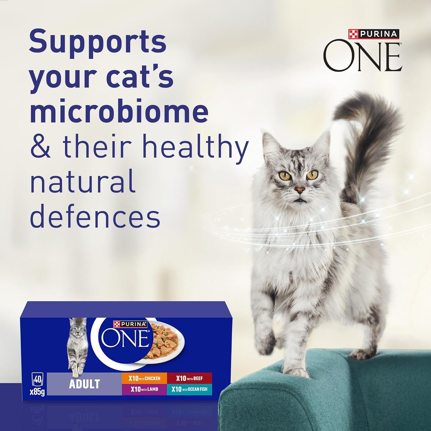 PURINA ONE Mini Fillets Mixed Selection in Gravy Adult Wet Cat Food 40x85g