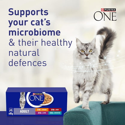 PURINA ONE Mini Fillets Mixed Selection in Gravy Adult Wet Cat Food 40x85g