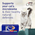 PURINA ONE Mini Fillets Mixed Selection in Gravy Adult Wet Cat Food 40x85g