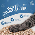 Fur & Bone Cat Litter - Ultra Absorbent Wooden Pellets - Biodegradable - Odor Control - Soft Natural Bedding - 1 x 30L